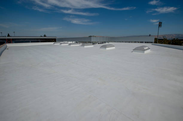Best Gutter Installation and Repair  in Waldron, AR